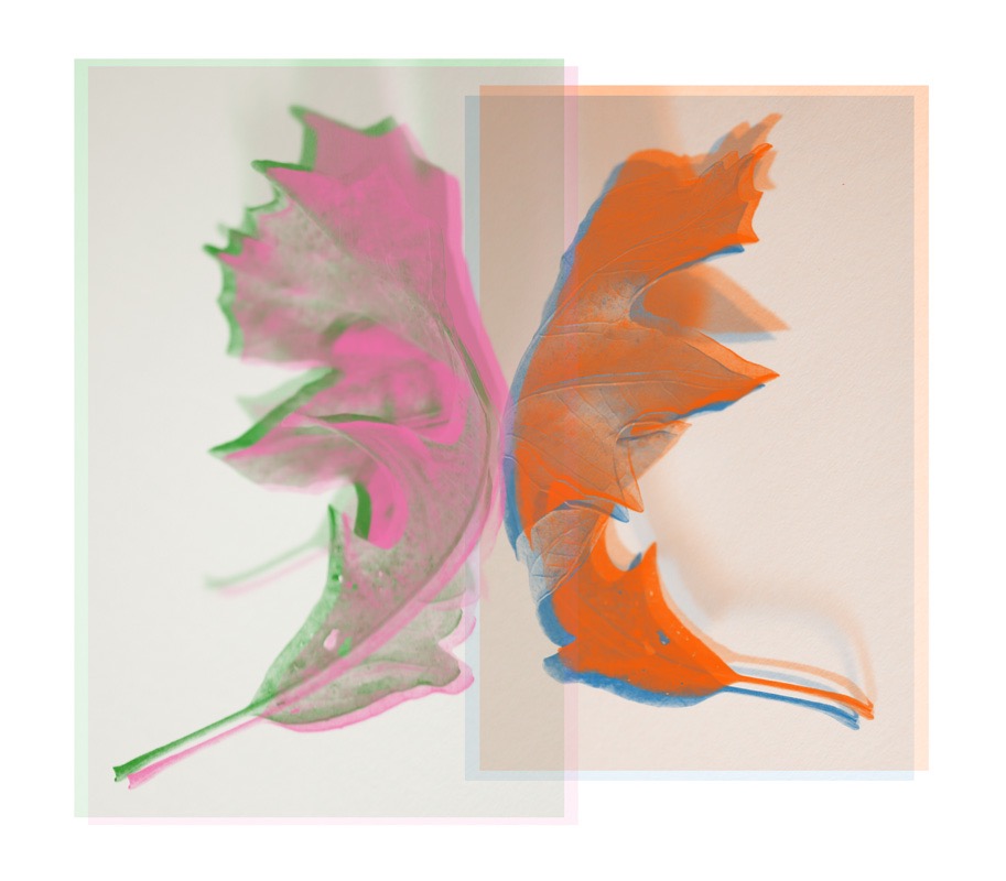 Unison (inward) 4 2016 photograph