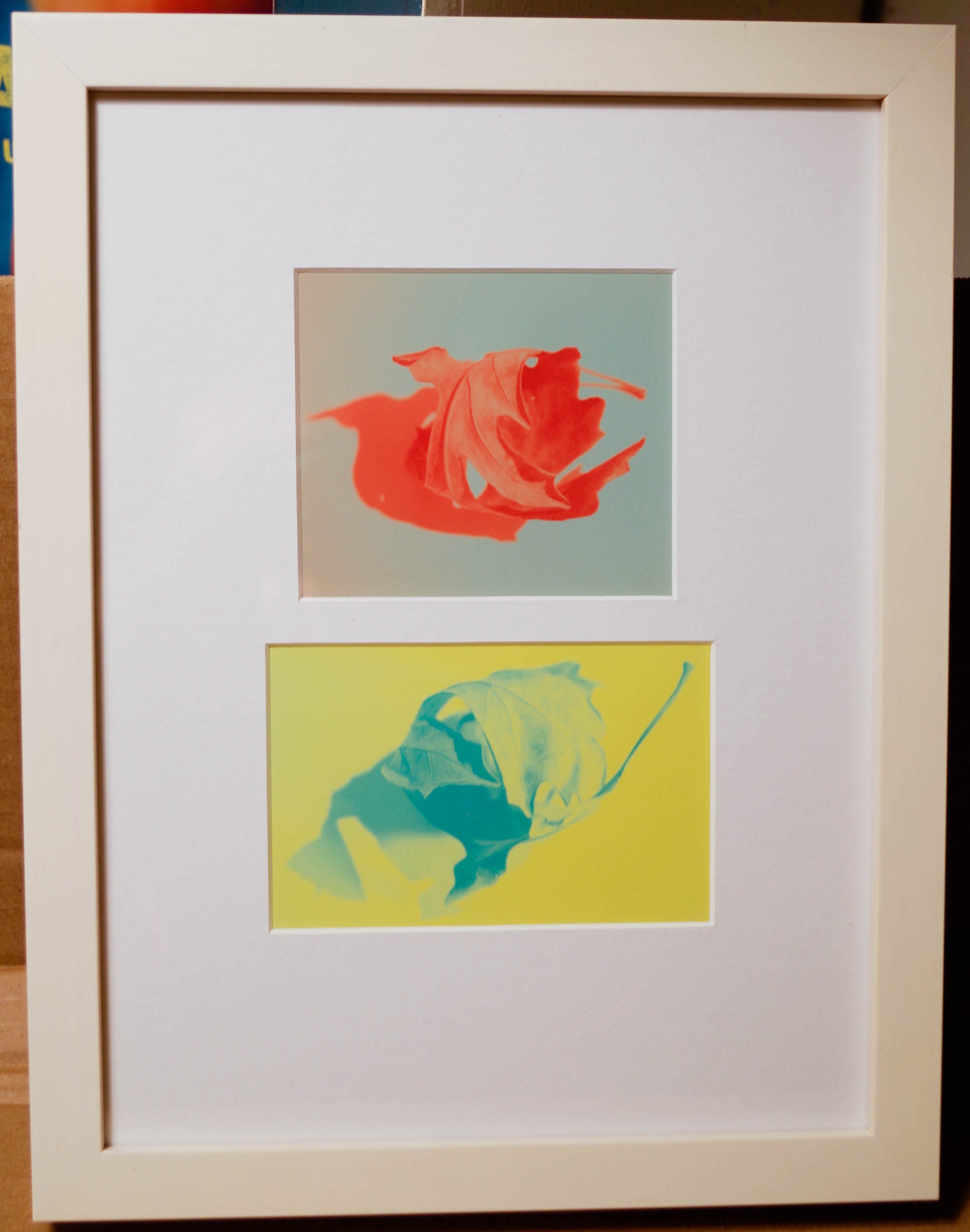 Duet 1 2017 12.5 x 9.5 (framed) photographs