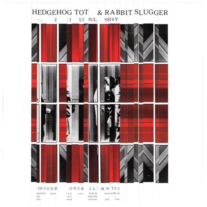 HEDGEHOG TOT & RABBIT SLUGGER.jpg