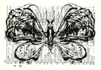 moth008