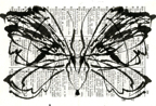 moth012
