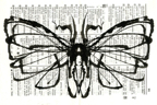 moth013