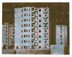 mckay2008_milanomarroneneu