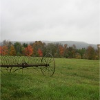IMG_0011.JPG